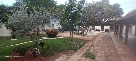 casa-aluguel-rua-p-henrique-j-de-souza-setor-xavantina-em-frente-a-eubiose--1023555